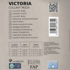 BELLISSIMA COLLANT MODA VICTORIA_002